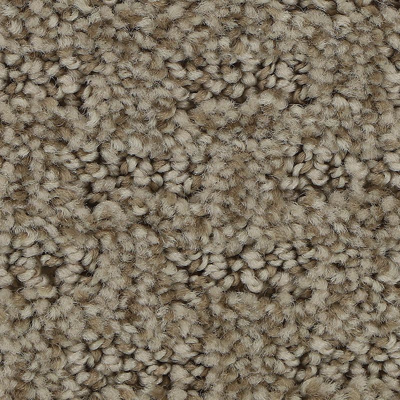 Carpet Flooring style 2